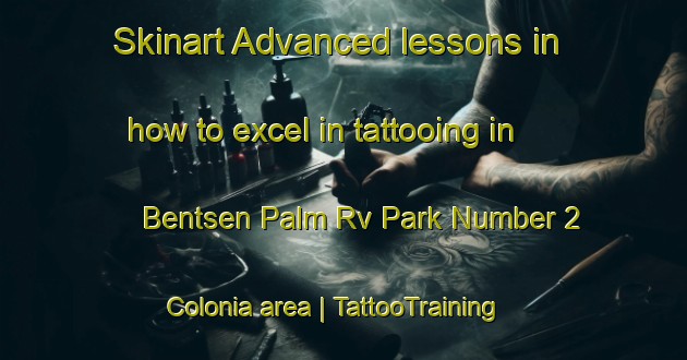 Skinart Advanced lessons in how to excel in tattooing in Bentsen Palm Rv Park Number 2 Colonia area | TattooTraining | TattooClasses | SkinartTraining-United States